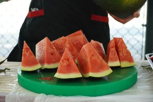 吃瓜技术,吃瓜技术全解析